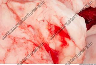 Photo Textures of RAW Beef Meat